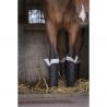 Stable boots Norton